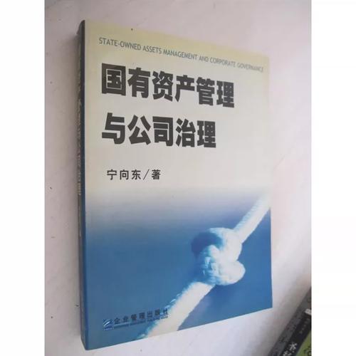 正版图书丨 国有资产管理与公司治理
